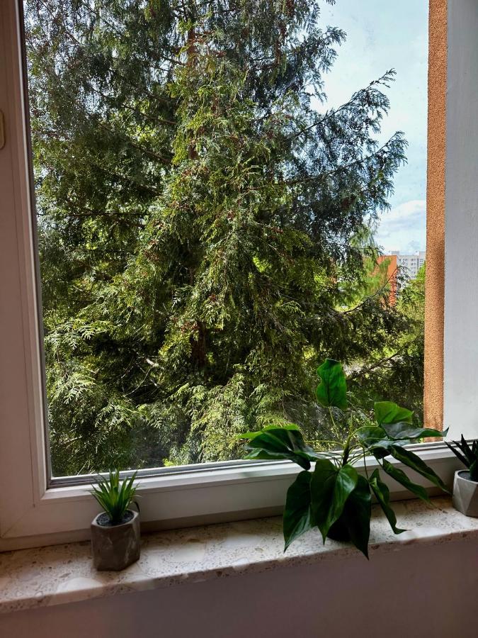 Apartamento #7 Uroczy pokój niedaleko morza w Gdańsku ! Exterior foto