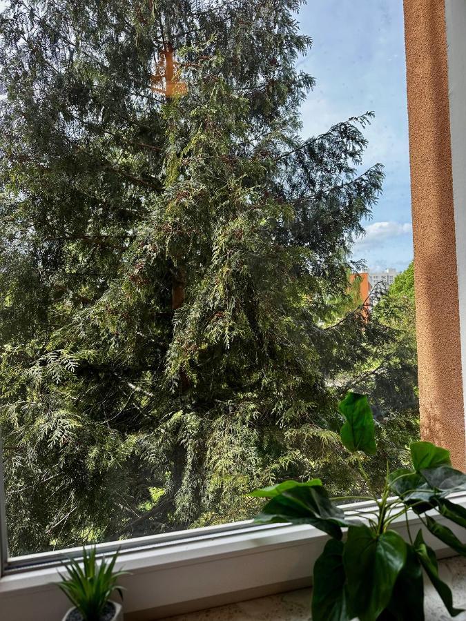 Apartamento #7 Uroczy pokój niedaleko morza w Gdańsku ! Exterior foto